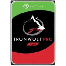 NAS 10TB IRONWOLF PRO USB 3.2 Dahili Sabit Disk - ST100000NT001