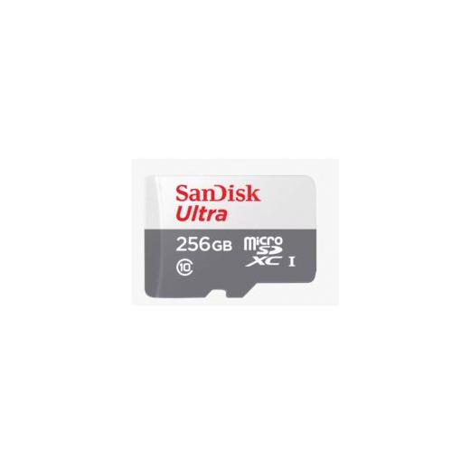 FLA 256GB ULTRA SDHC 100MB/S CLASS 10 - SDSQUNR-256G-GN3MN