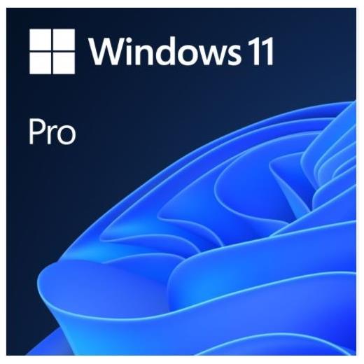 Windows 11 Pro Türkçe Oem (64 Bit) FQC-10556